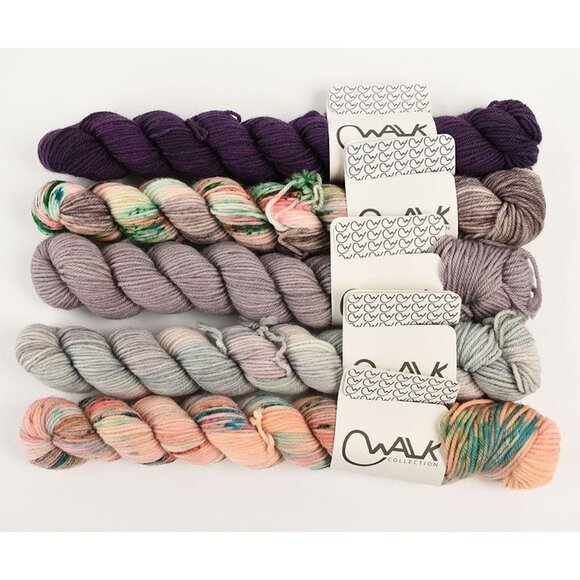 Walk Collection Tough Sock Mini 5 Skeins Wool Blend Mixed Colors - Picture 1 of 3